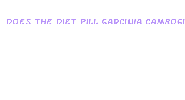 does the diet pill garcinia cambogia z really work