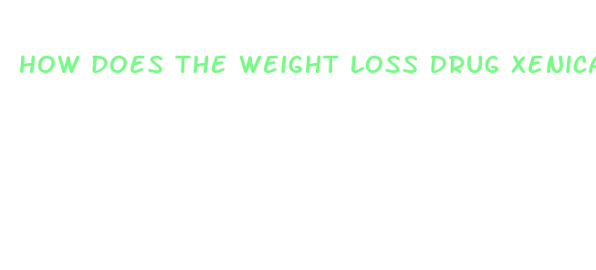 how does the weight loss drug xenical function