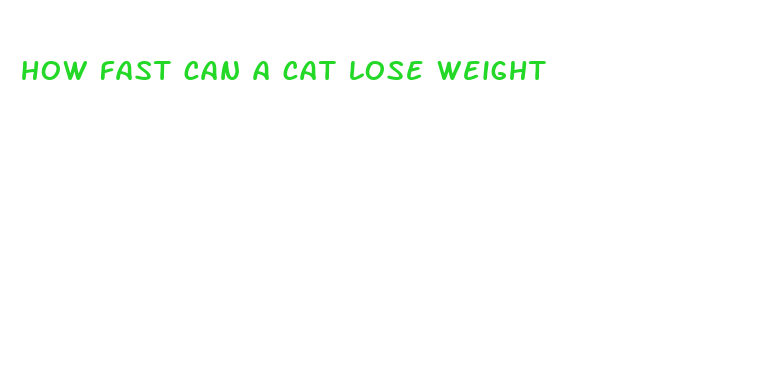 how fast can a cat lose weight