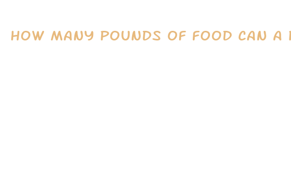 how many pounds of food can a person eat