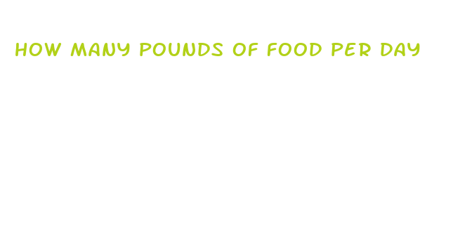 how many pounds of food per day