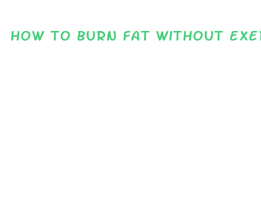 how to burn fat without exercise pills