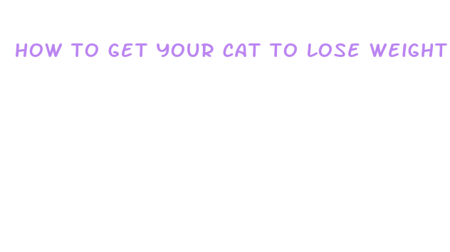 how to get your cat to lose weight fast