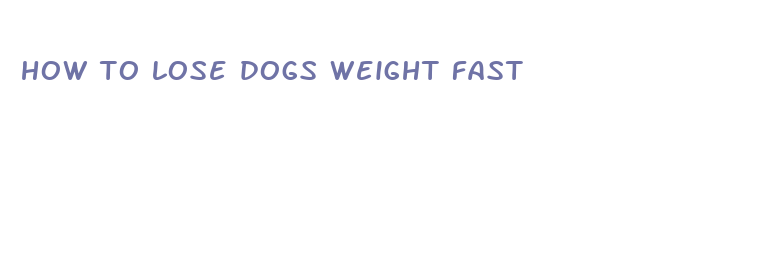 how to lose dogs weight fast