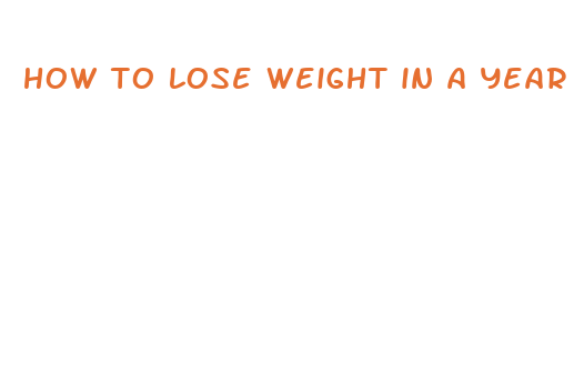 how to lose weight in a year