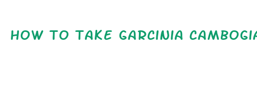 how to take garcinia cambogia pills for weight loss