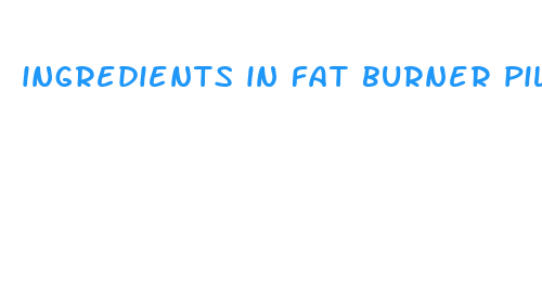 ingredients in fat burner pills