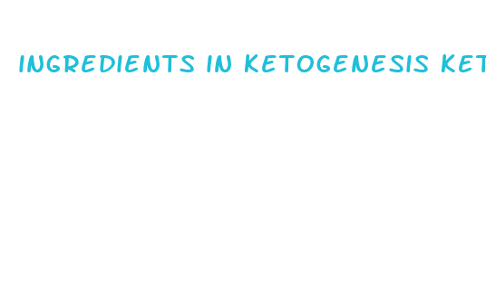 ingredients in ketogenesis keto acv gummies