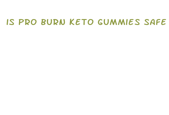 is pro burn keto gummies safe