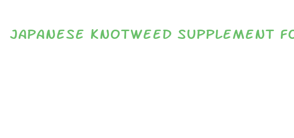 japanese knotweed supplement for weight loss