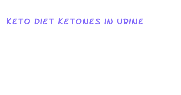 keto diet ketones in urine