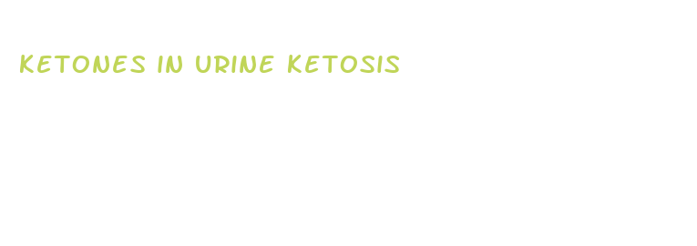 ketones in urine ketosis