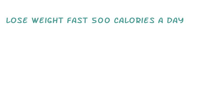 lose weight fast 500 calories a day