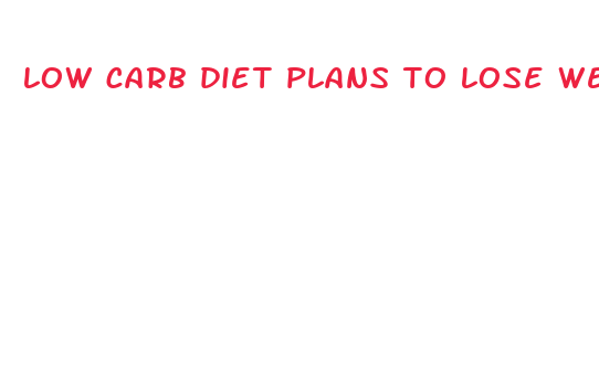 low carb diet plans to lose weight fast