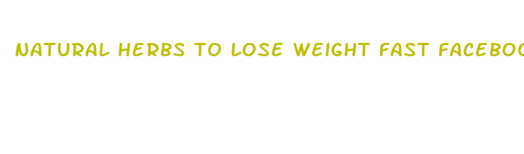 natural herbs to lose weight fast facebook