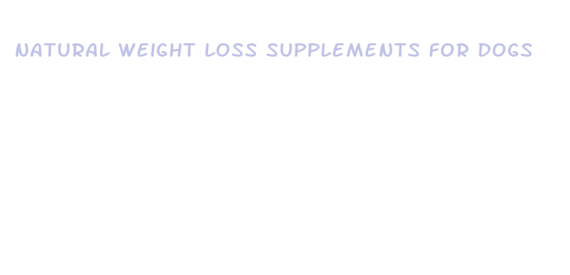 natural weight loss supplements for dogs