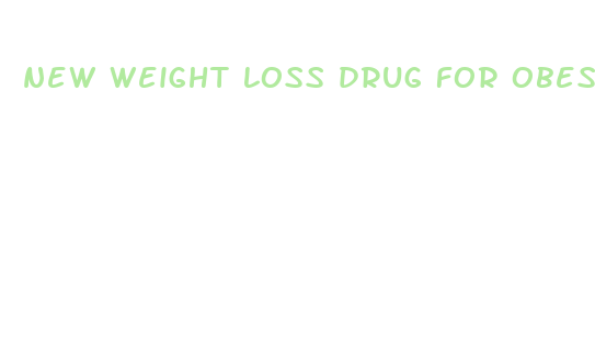 new weight loss drug for obesity