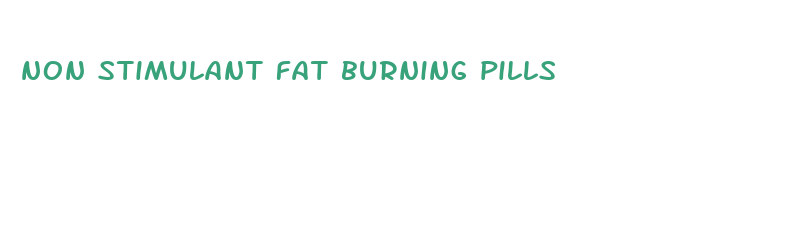 non stimulant fat burning pills