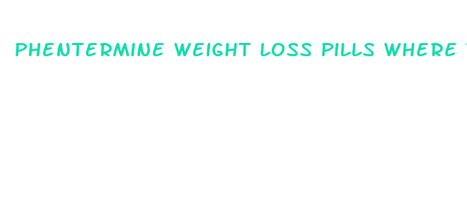 phentermine weight loss pills where to buy