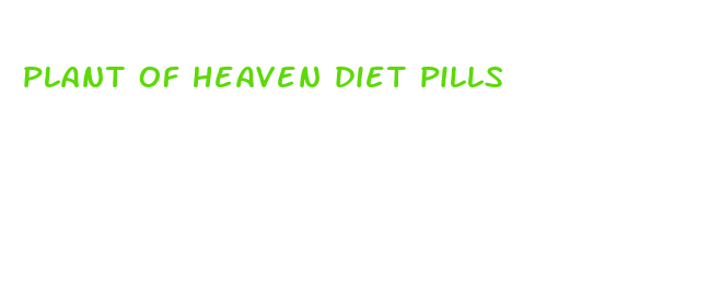 plant of heaven diet pills