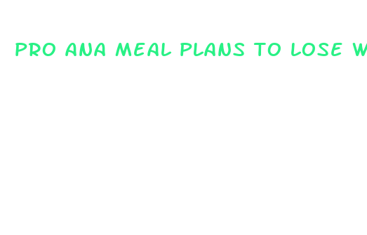 pro ana meal plans to lose weight fast