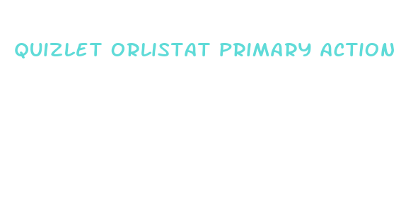 quizlet orlistat primary action weight loss drug