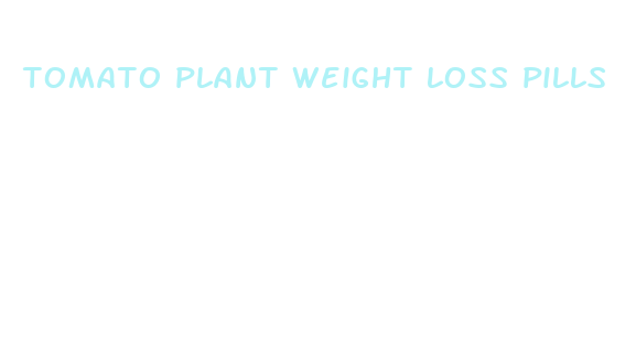 tomato plant weight loss pills