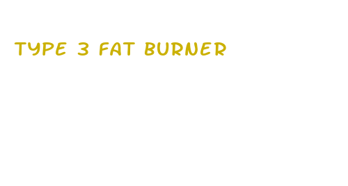 type 3 fat burner