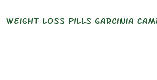 weight loss pills garcinia cambogia