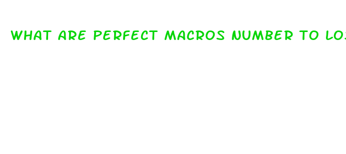 what are perfect macros number to lose weight fast