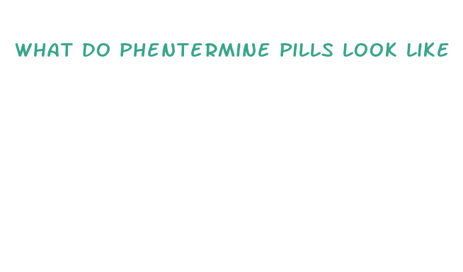 what do phentermine pills look like