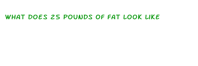 what does 25 pounds of fat look like