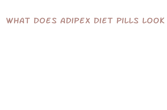 what does adipex diet pills look like