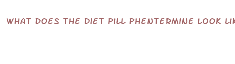 what does the diet pill phentermine look like