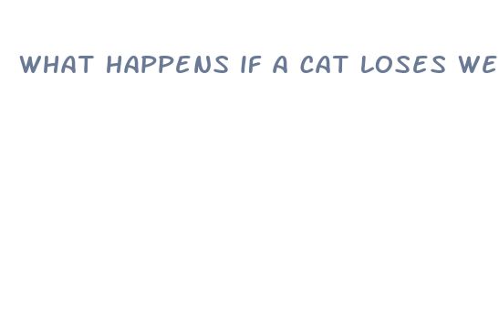 what happens if a cat loses weight too fast