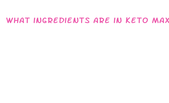 what ingredients are in keto max pills