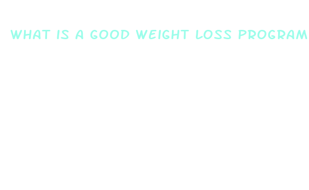 what is a good weight loss program