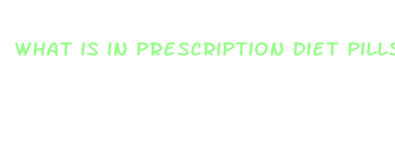 what is in prescription diet pills