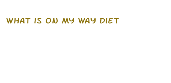 what is on my way diet