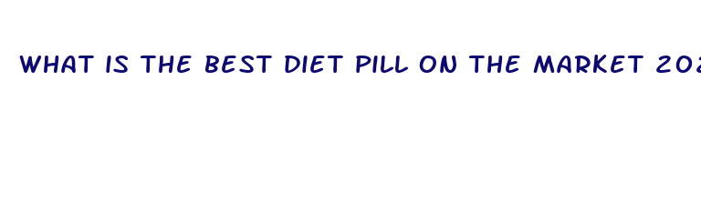 what is the best diet pill on the market 2024