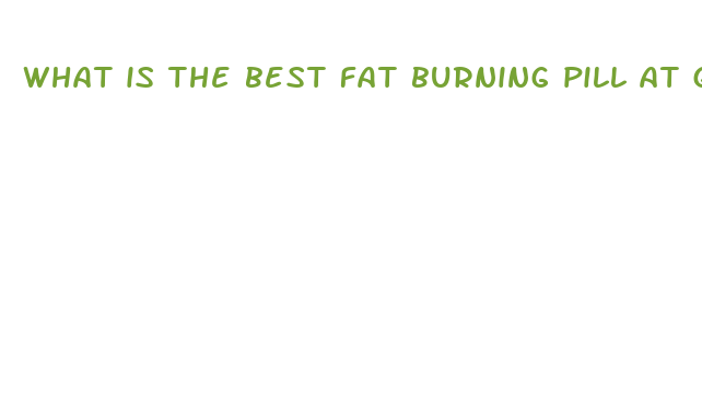 what is the best fat burning pill at gnc