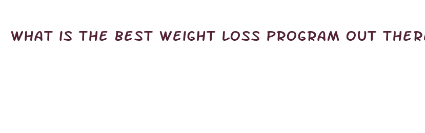 what is the best weight loss program out there