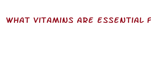 what vitamins are essential for weight loss