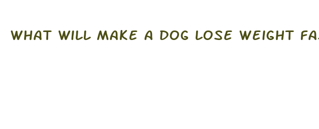 what will make a dog lose weight fast