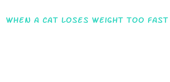 when a cat loses weight too fast