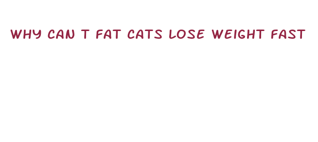 why can t fat cats lose weight fast