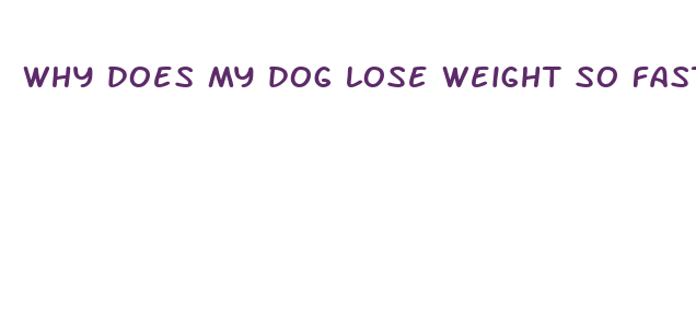 why does my dog lose weight so fast