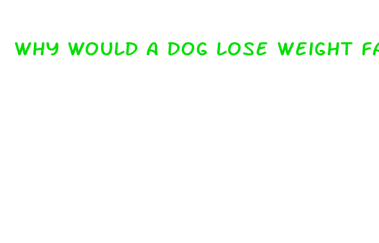 why would a dog lose weight fast