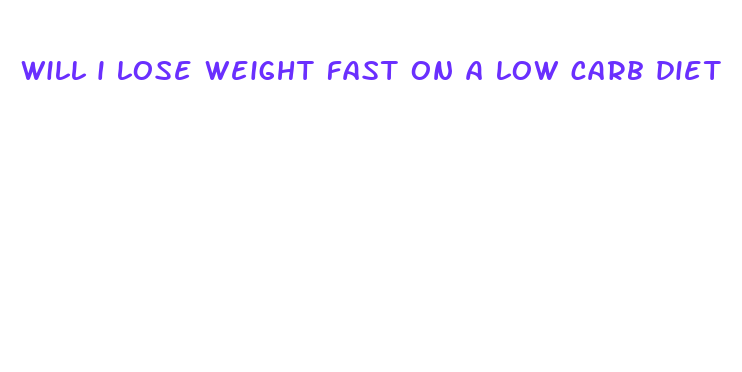 will i lose weight fast on a low carb diet